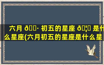 六月 🕷 初五的星座 🦟 是什么星座(六月初五的星座是什么星座啊)